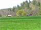 Historic South Fork Little Butte Creek Ranch