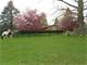 Home for Sale with Horse Facilities ON 10.59 Acres