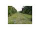 Houston Tx. Hunting ON Your 103 Acres in One Half Hour From the Office