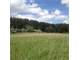Hunters Dream Retreat Acres Near Jackson - Washtenaw Counties