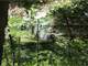 Hunters Dream or Family Paradise