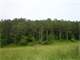 Hunters Paradise 1 Atlanta GA ON Backwater West Point Lake