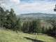 Hunting Cabin and Land in Colorado for Sale