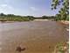 Hunting Land Auction – 200± Acres