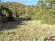 Hunting Property with Owner Financing Available