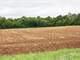 Hunting Retreat Auction - 193.6- Acres Offered in 3 Tracts