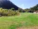 Income Little Smokies. Creeks. 500 Acres. Beautiful