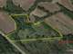 Juneau County WI Hunting Land