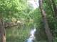 Land Auction for 315.47 Acre Hunting Prime Land and Farm Neosho County KS