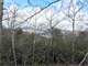 Land for Sale Near Asheville NC $180000