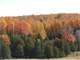 Land for Sale Owner W or W O Camp Carney MI