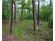 Land for Sale Trenton MO - Crop Cattle Hunting