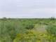 Native Grass Acres Land in Pecos County TX North Fort Stockton