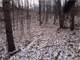 Northwest Lower Michigan 176 Acres Hunting and Recreation