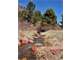 Old Miners Camp with Stream