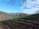 One a Kind Family Retreat . 140 Acres in Madison County NC