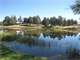 Private Quiet Setting Horse Ranch