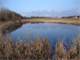 Quality Deer Hunting Property Endeavor Wisconsin