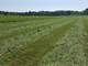 River Bottom Crop Land with Hip Roof Barn Electricity and Well