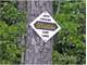 Sportsmans Property Club Cabin Retreat 6.16 Acres with Gvt Boundary