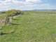 Sycan Pasture Ranch Near the River