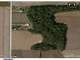 Tillage and Woods with Large Creek for Sale Could Used for Building Lot