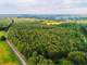 Timberland Auction - 378 Acres in Tracts