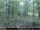 Trophy Whitetail Property ON Dead-End Road in Southwestern Wisconsin