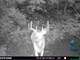 Trophy Whitetail Property ON Dead-End Road in Southwestern Wisconsin