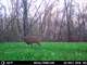 Turnkey Monster Buck Property in Southwestern Wisconsin