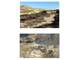 Twenty Acres ON Terlingua Ranch in the Desert Wilderness