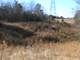 Union County Jonesville Hunting Land 24.4 Acres