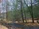 Unrestricted Mountain Acres for the Best Hunting Around - Bear Bucks