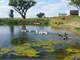 Wildlife Haven Located ON the North Platte River Agriculture Fishing