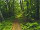 Wooded Acreage with Great Views