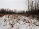 Wooded Acreage Located in Manitowoc County