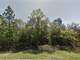 .25 Acre in Dunnellon FL