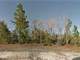 0.56 Acre in Interlachen FL