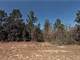 1.25 Acres in Dunnellon FL