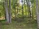 Land in Big Buck Territory Waupaca County WI Photo 13