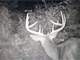 Land in Big Buck Territory Waupaca County WI Photo 14