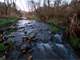 Hunting Land for Sale with Trout Stream in Southwest Wisconsin Photo 11