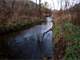 Hunting Land for Sale with Trout Stream in Southwest Wisconsin Photo 12