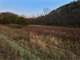 Hunting Land for Sale with Trout Stream in Southwest Wisconsin Photo 1