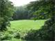 120 Wooded Acres Year Mgt Focused ON Wildlife Habitat Enhancement