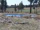 2 Ponds Mthood View Trees Backs State Land Photo 1