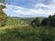 150 Acres – Land for Sale