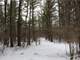Acres in Deer Management with Building Options Wood CO Photo 3
