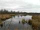 Vacant Land Sawyer County Dead End Road Photo 1