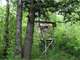 Owner Wanted for This Hunting Camp in Taylor County WI Photo 15